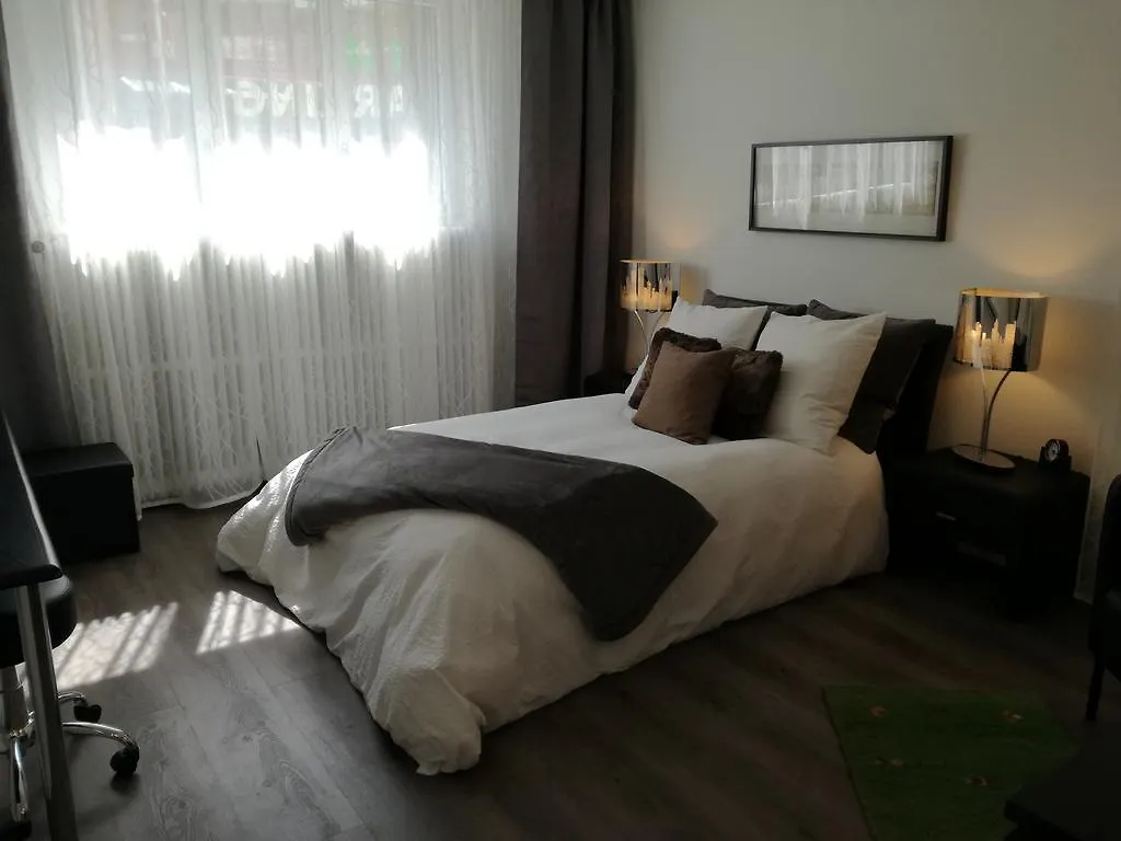Stopoase Holiday home Bern Homestay